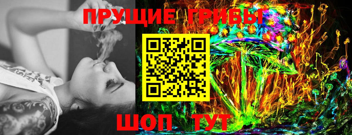 Псилоцибиновые грибы Cubensis Асбест